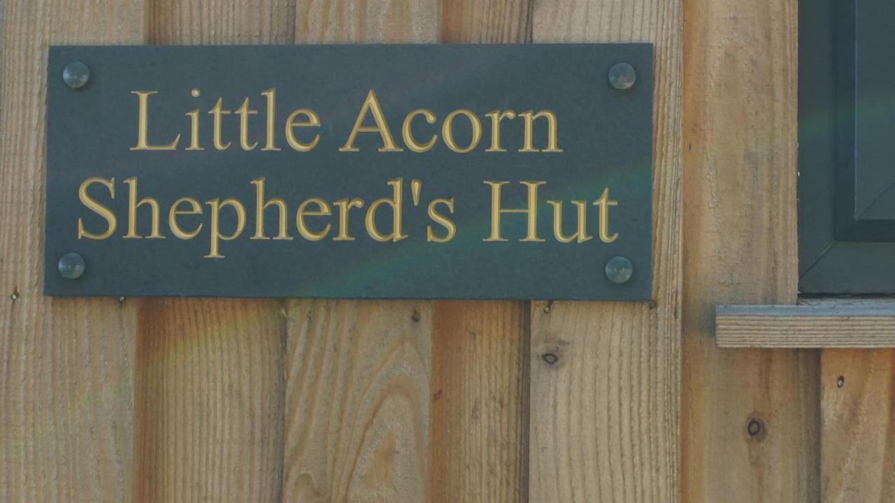 Little Acorn - Luxury Shepherd'S Hut / Lodge With Private Hot Tub And Garden Llanfyllin Exterior photo