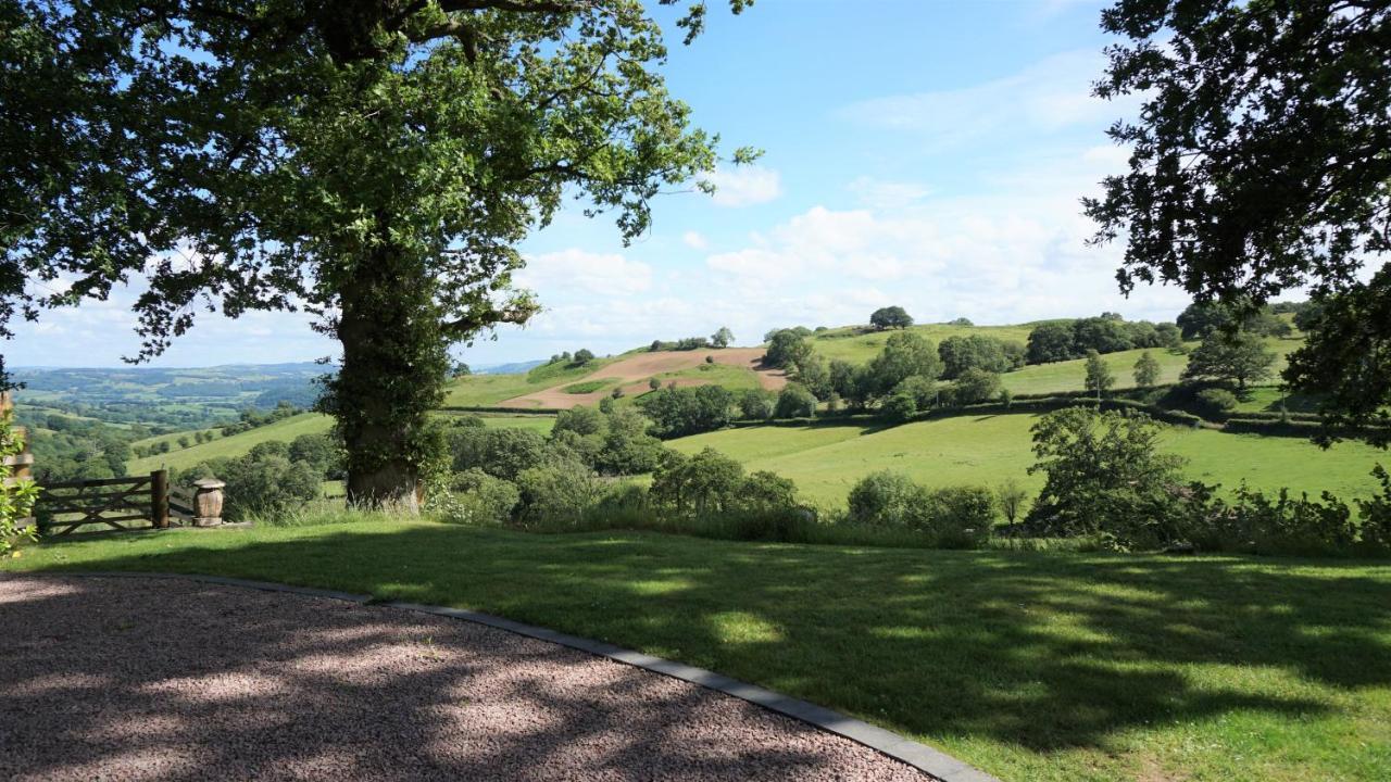 Little Acorn - Luxury Shepherd'S Hut / Lodge With Private Hot Tub And Garden Llanfyllin Exterior photo